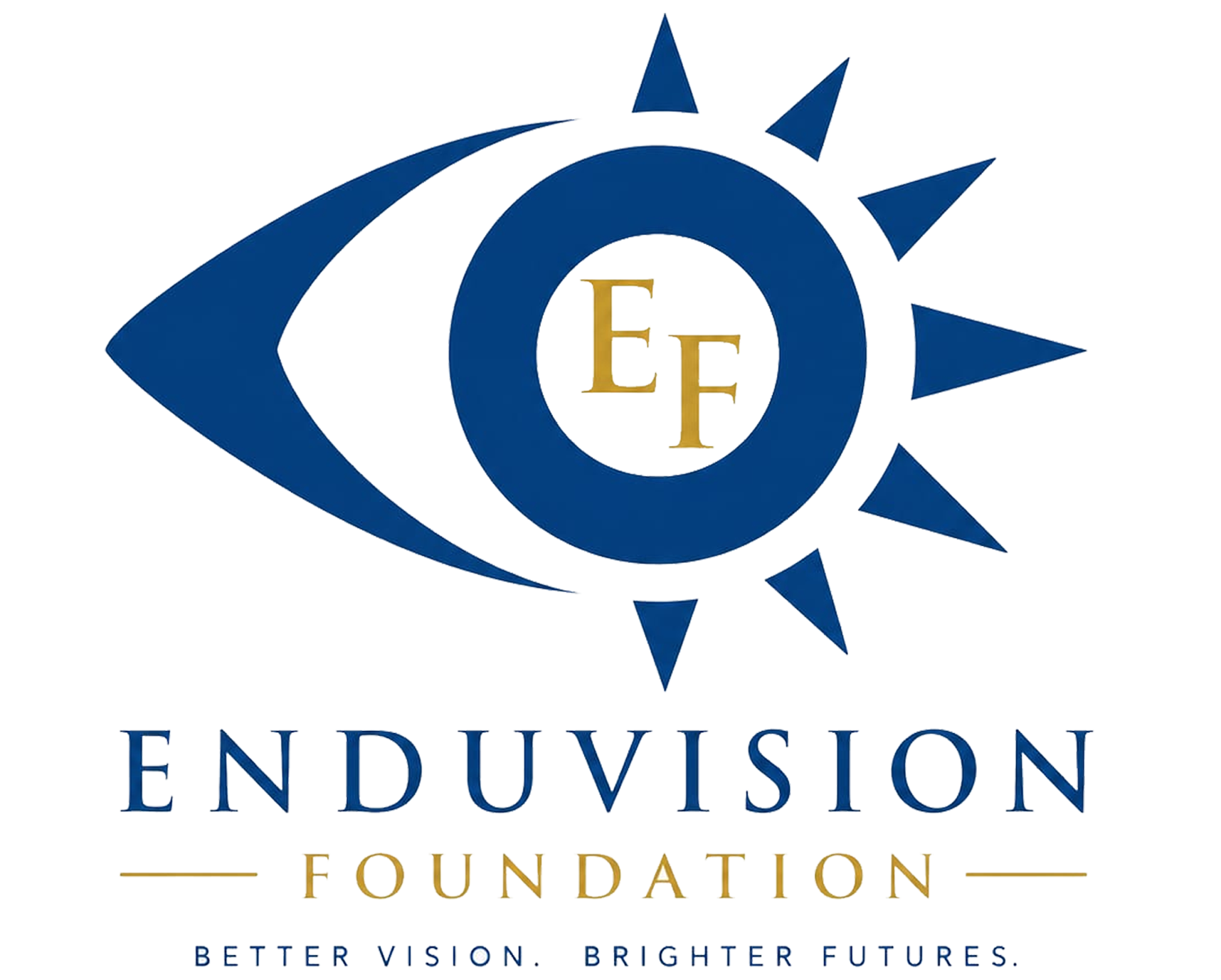Logo EnduVision Foundation